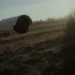 Установка систем видеонаблюдения для аграрного сектора